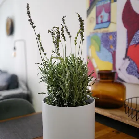 La Faroleta Puerto Apartment Denia